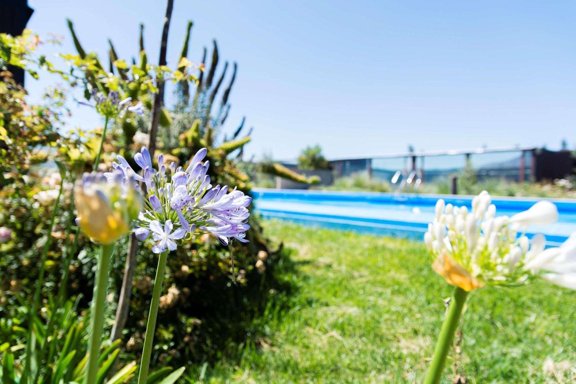 Park Inn By Radisson Los Olivos De Vallenar Bagian luar foto